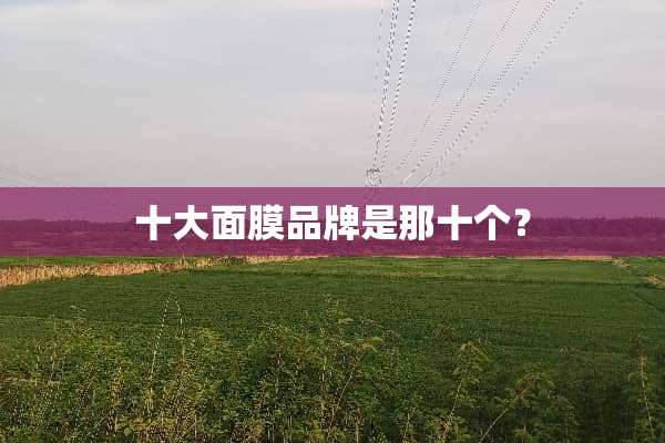 十大面膜品牌是那十个？