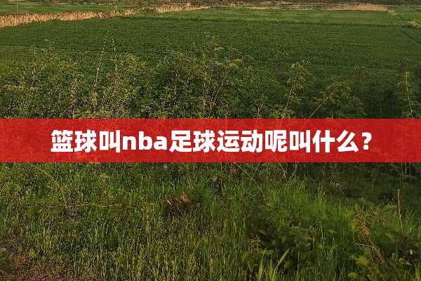 篮球叫nba**运动呢叫什么？