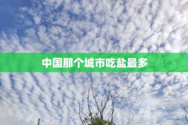 中国那个城市吃盐最多