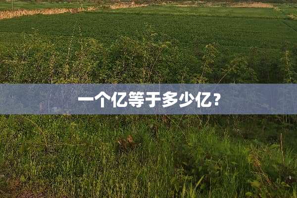 一个亿等于多少亿？