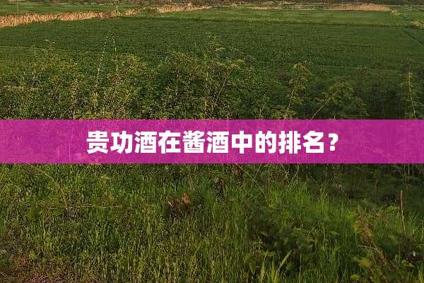 贵功酒在酱酒中的排名？