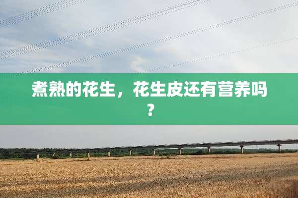 煮熟的花生，花生皮还有营养吗？