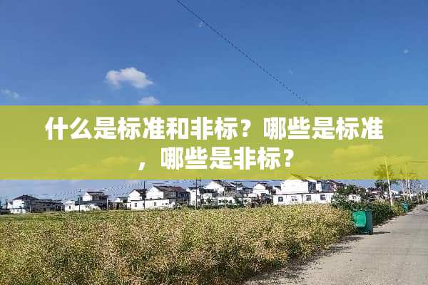 什么是标准和非标？哪些是标准，哪些是非标？