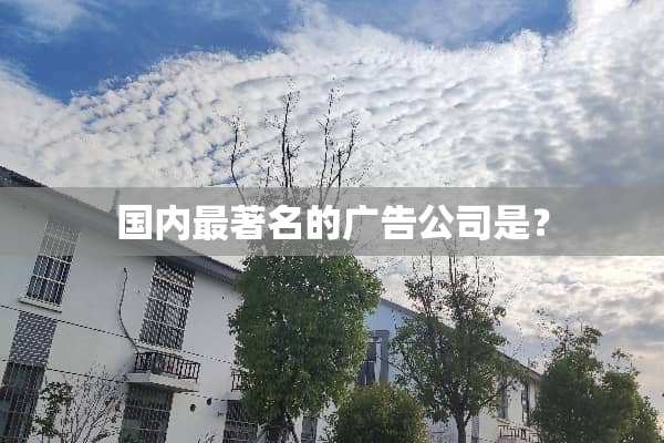 国内最著名的广告公司是？