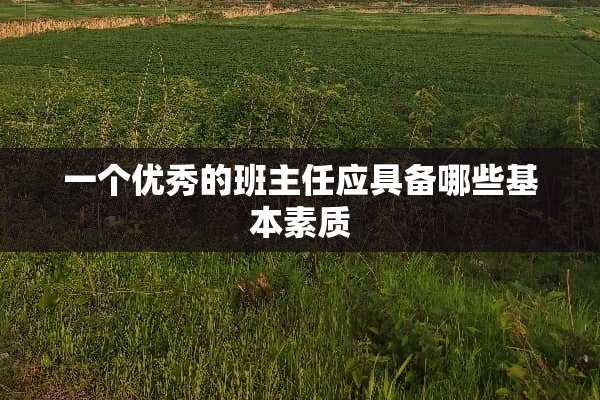 一个优秀的班主任应具备哪些基本素质