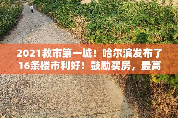 2021救市第一城！哈尔滨发布了16条楼市利好！鼓励买房，最高补贴10万！