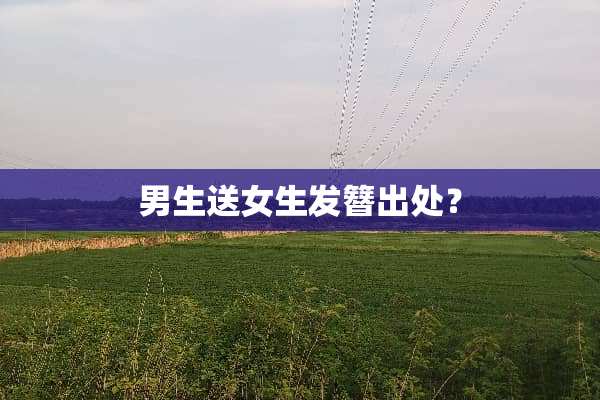 男生送女生发簪出处？