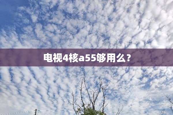 电视4核a55够用么？