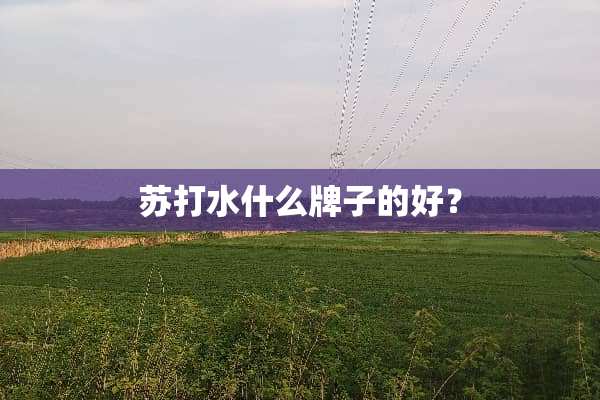 苏打水什么牌子的好？