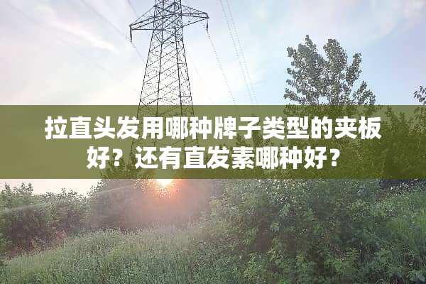拉直头发用哪种牌子类型的夹板好？还有直发素哪种好？