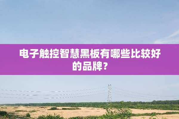 电子触控智慧黑板有哪些比较好的品牌？