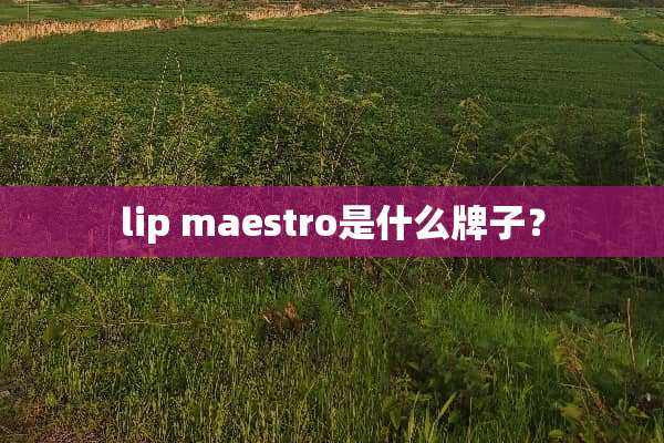 lip maestro是什么牌子？
