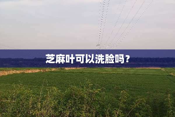 芝麻叶可以洗脸吗？