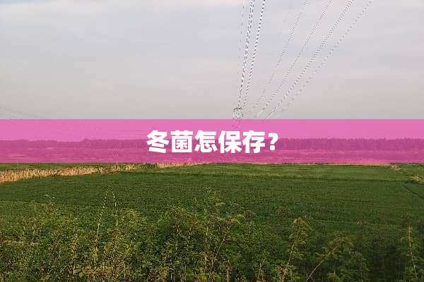 冬菌怎保存？