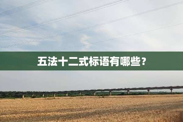 五法十二式标语有哪些？