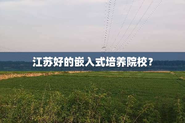 江苏好的嵌入式培养院校？