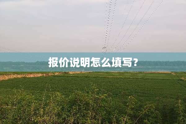 报价说明怎么填写？