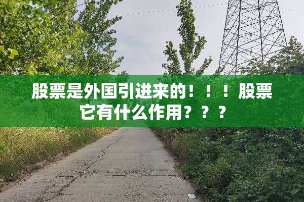 股票是外国引进来的！！！股票它有什么作用？？？