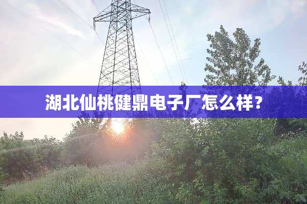 湖北仙桃健鼎电子厂怎么样？