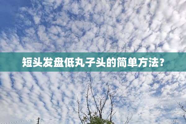 短头发盘低丸子头的简单方法？