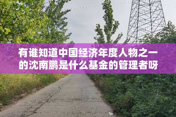 有谁知道中国经济年度人物之一的沈南鹏是什么基金的管理者呀