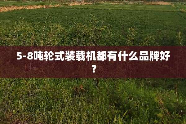5-8吨轮式装载机都有什么品牌好？