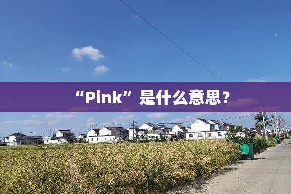 “Pink”是什么意思？
