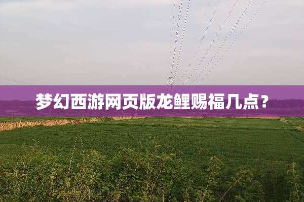 梦幻西游网页版龙鲤赐福几点？