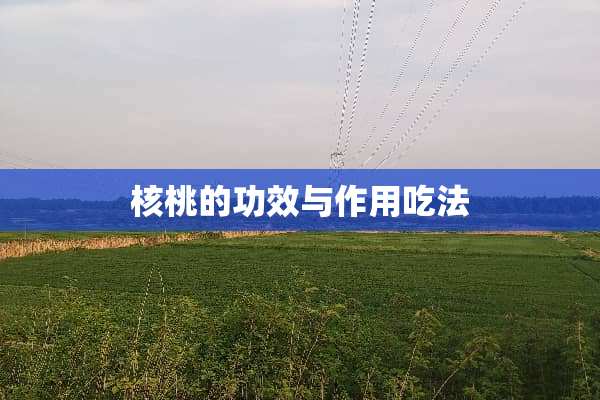 核桃的功效与作用吃法