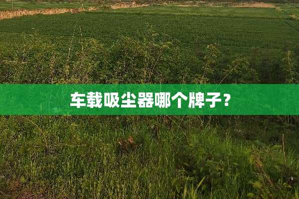 车载吸尘器哪个牌子？