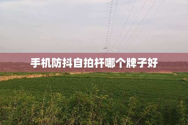 手机防抖**杆哪个牌子好