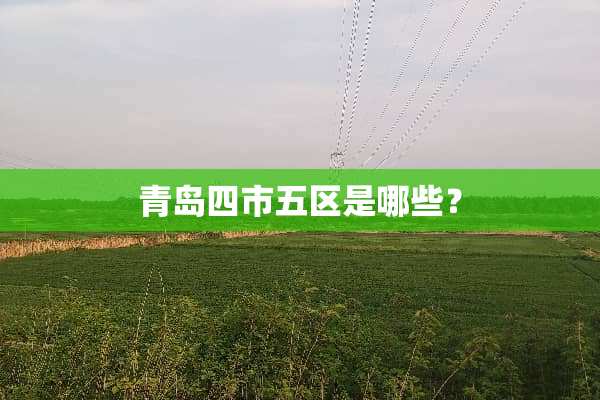 青岛四市五区是哪些？