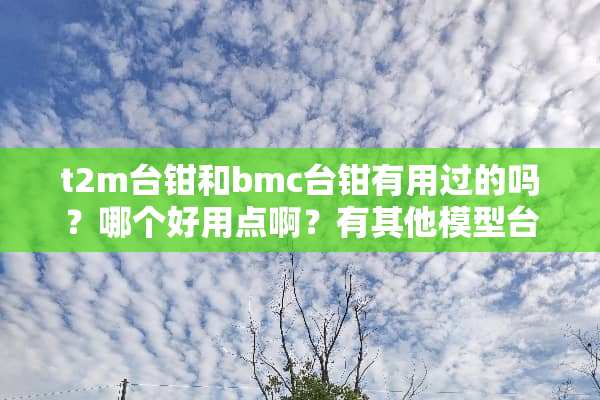 t2m台钳和bmc台钳有用过的吗？哪个好用点啊？有其他模型台钳推荐的吗？