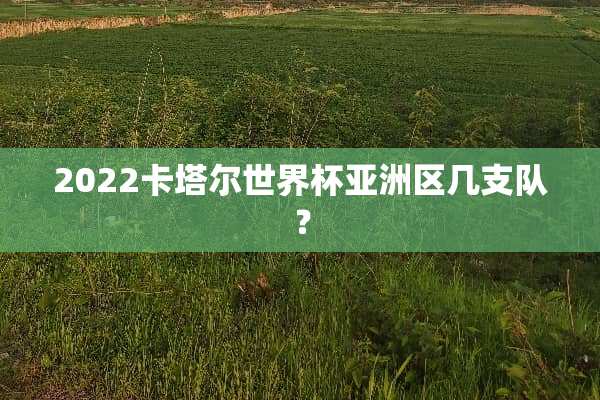 2022卡塔尔世界杯亚洲区几支队？
