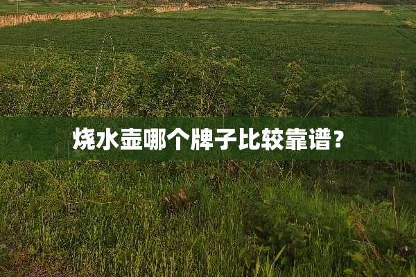 烧水壶哪个牌子比较靠谱？