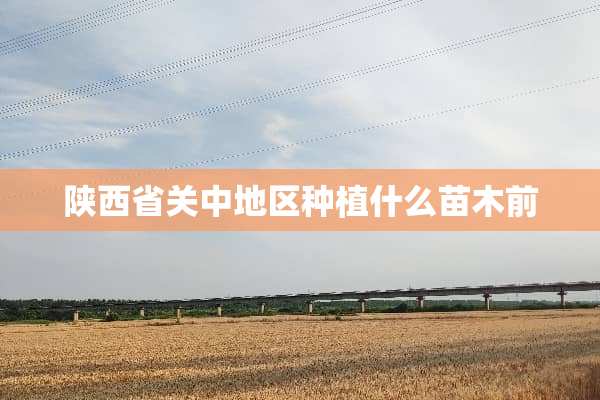 陕西省关中地区种植什么苗木前