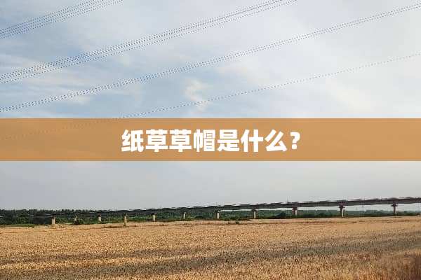 纸草草帽是什么？