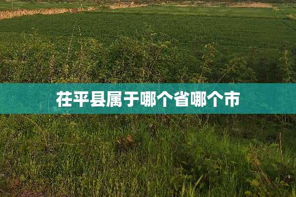 茌平县属于哪个省哪个市