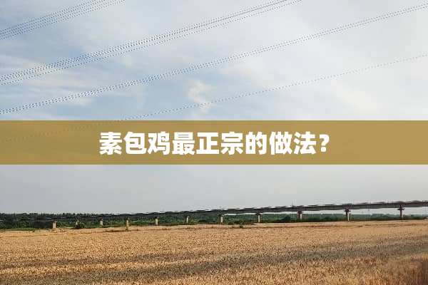 素包鸡最正宗的做法？