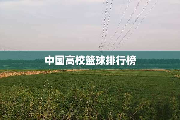 中国高校篮球排行榜
