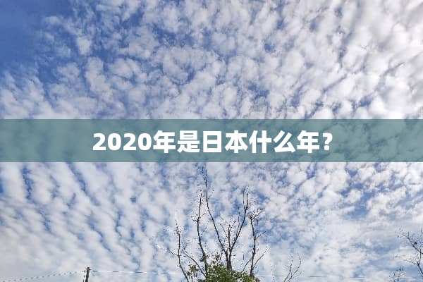 2020年是日本什么年？