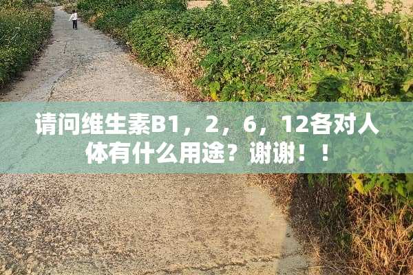 请问维生素B1，2，6，12各对人体有什么用途？谢谢！！