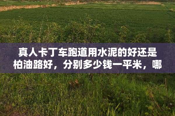 真人卡丁车跑道用水泥的好还是柏油路好，分别多少钱一平米，哪个造价更高
