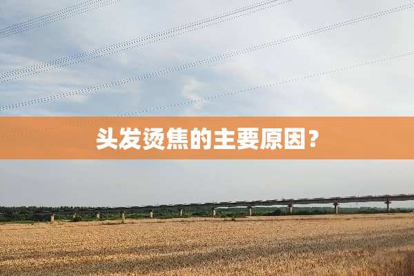头发烫焦的主要原因？