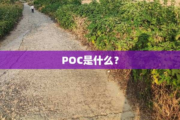POC是什么？
