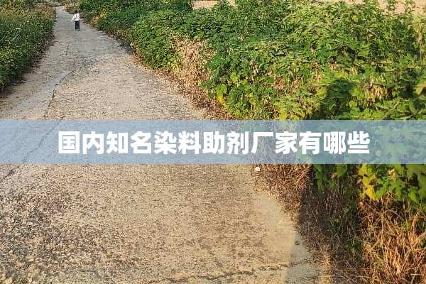 国内知名染料助剂厂家有哪些