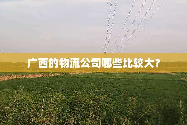广西的物流公司哪些比较大？