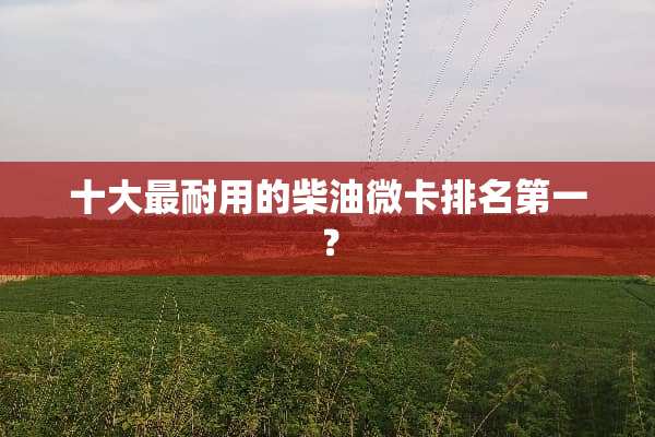 十大最耐用的柴油微卡排名第一？