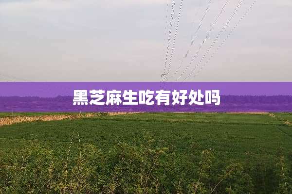 黑芝麻生吃有好处吗