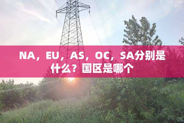 NA，EU，AS，OC，SA分别是什么？国区是哪个